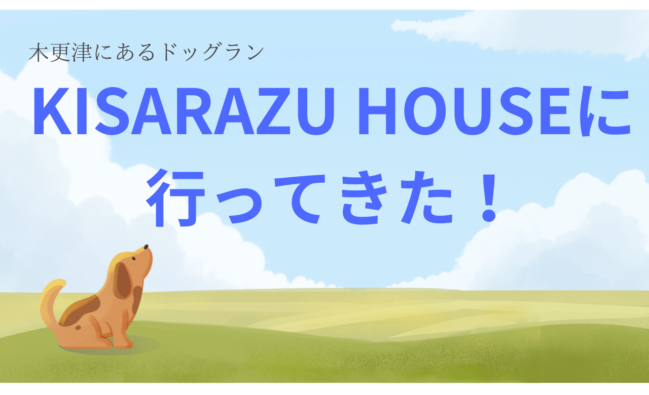 木更津にあるドッグラン・KISARAZU HOUSEに行ってきた！