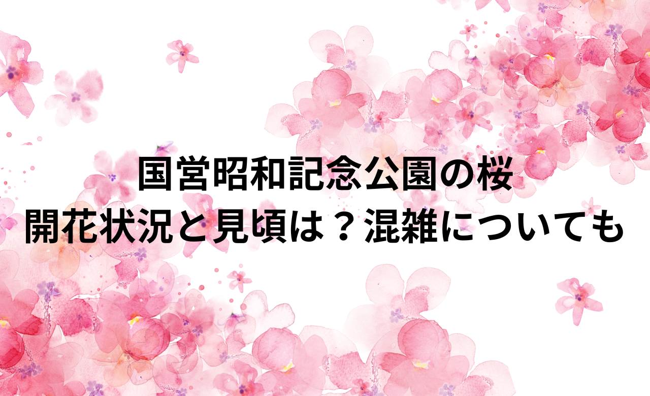 国営昭和記念公園の桜開花状況と見頃は？混雑についても