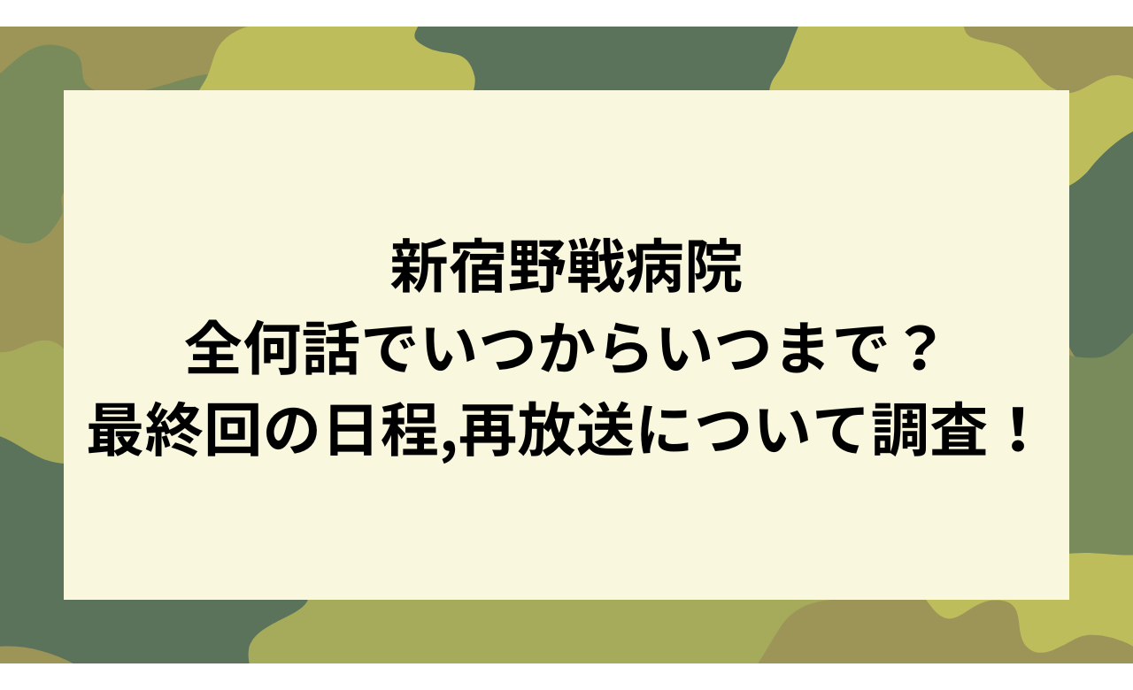 新宿野戦病院,全何話でいつからいつまで?最終回の日程,再放送について調査!