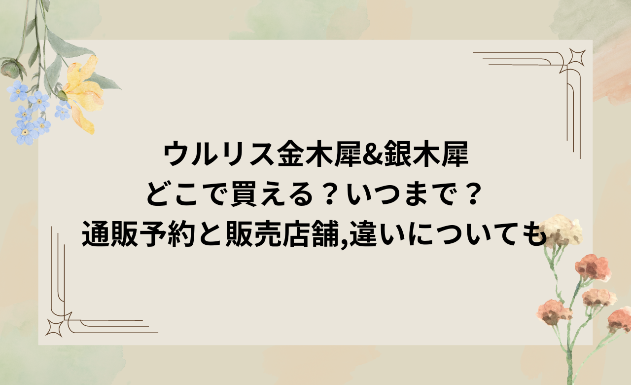 ｳﾙﾘｽ金木犀&銀木犀どこで買える?いつまで?通販予約と販売店舗,違いについても