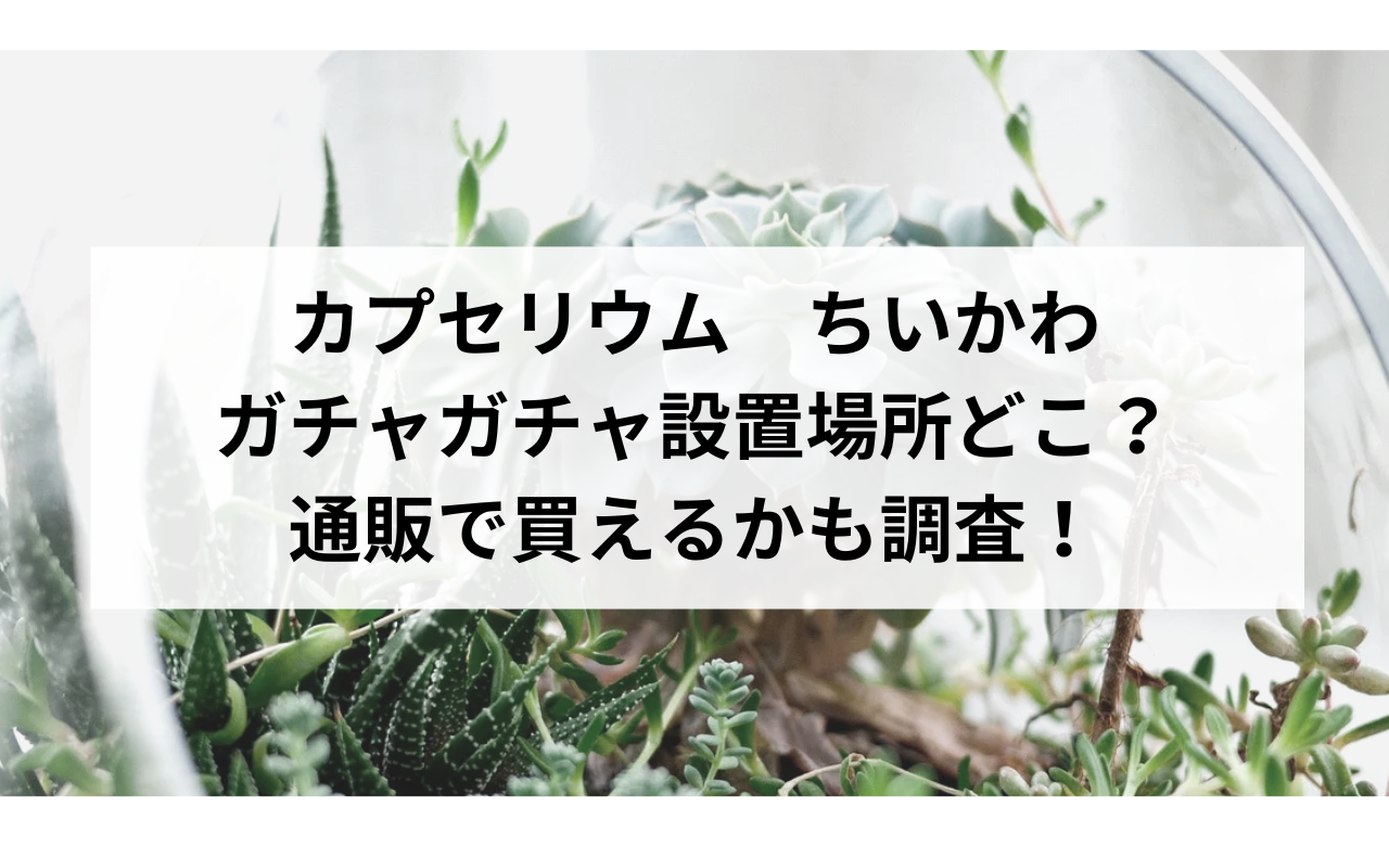 ｶﾌﾟｾﾘｳﾑちいかわ,ｶﾞﾁｬｶﾞﾁｬ設置場所どこ?通販で買えるかも調査!